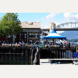 ayumilog | Vancouver | グランビルアイランド | 海の向こうには山が見えるこの景色。贅沢です! ayumilog | Vancouver | グランビルアイランド | 海の向こうには山が見えるこの景色。贅沢です!