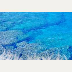 ayumilog | Okinawa | 万座毛 | ayumilog | Okinawa | 万座毛 |