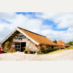 ayumilog | Okinawa | やちむんの里 | 読谷山窯 ayumilog | Okinawa | やちむんの里 | 読谷山窯