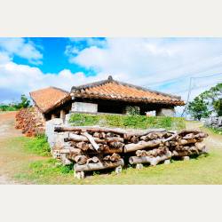 ayumilog | Okinawa | やちむんの里 | 共同窯とのこと ayumilog | Okinawa | やちむんの里 | 共同窯とのこと