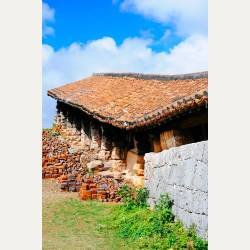 ayumilog | Okinawa | やちむんの里 | ayumilog | Okinawa | やちむんの里 |