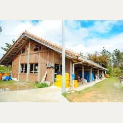 ayumilog | Okinawa | やちむんの里 | ayumilog | Okinawa | やちむんの里 |