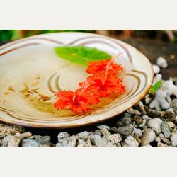 ayumilog | Okinawa | やちむんの里 | ayumilog | Okinawa | やちむんの里 |