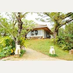 ayumilog | Okinawa | やちむんの里 | 島袋常秀工房 「うつわ家」売店 ayumilog | Okinawa | やちむんの里 | 島袋常秀工房 「うつわ家」売店