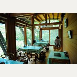 ayumilog | Karuizawa | 軽井沢 雲場亭 | 大きな窓からはたっぷりの新緑。 ayumilog | Karuizawa | 軽井沢 雲場亭 | 大きな窓からはたっぷりの新緑。