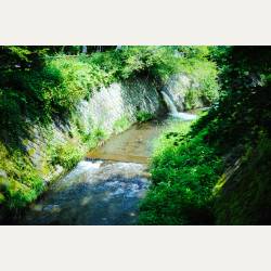 ayumilog | Karuizawa | 軽井沢 雲場亭 | 近所の小川。せせらぎが夏の暑さを忘れさせてくれます。 ayumilog | Karuizawa | 軽井沢 雲場亭 | 近所の小川。せせらぎが夏の暑さを忘れさせてくれます。