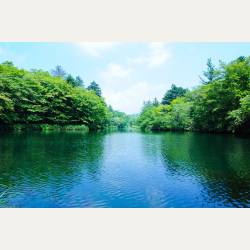 ayumilog | Karuizawa | 軽井沢 雲場亭 | そのまま雲場池散策。 ayumilog | Karuizawa | 軽井沢 雲場亭 | そのまま雲場池散策。